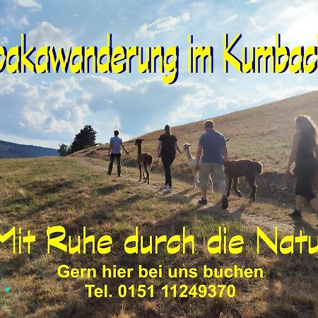 Ferienhaus Im Kumbachtal 格拉芬道尔 外观 照片
